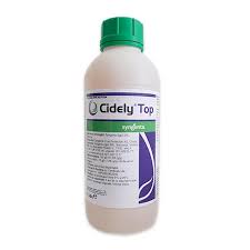 CIDELY TOP (1 L)